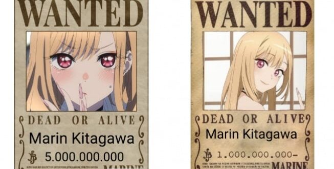 Pengen Jadi Kru Bajak Laut Topi Jerami? Bikin Poster Buronan One Piece-mu Sekarang!