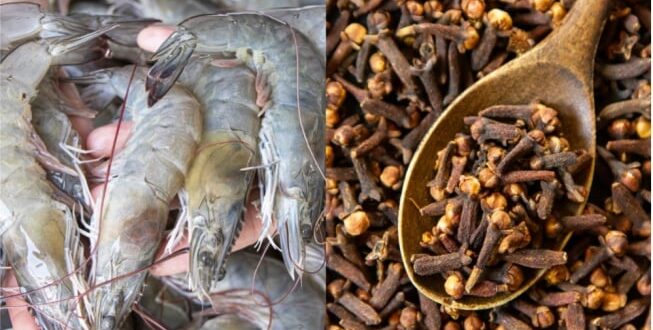 Udang Radioaktif dan Cengkeh, Fakta Mencengangkan yang Mungkin Belum Kamu Tahu