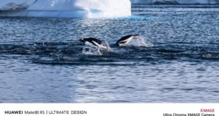 Bocoran Foto Ungkap Dahsyatnya Kamera Huawei Mate 80 Series!