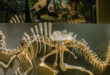 Dinosaurus Raksasa 30 Meter Kuasai Asia Tenggara Ditemukan