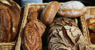 Ragi Kuno Mumi Oetzi Kini Bikin Roti Sourdough Modern
