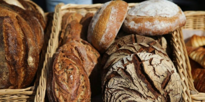 Ragi Kuno Mumi Oetzi Kini Bikin Roti Sourdough Modern