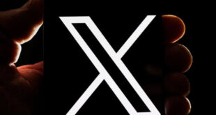 X Rilis Fitur Reaksi Video iOS Bikin Interaksi Makin Hidup